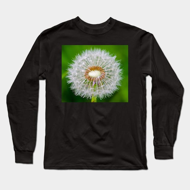 Dandelion Long Sleeve T-Shirt by Simon-dell